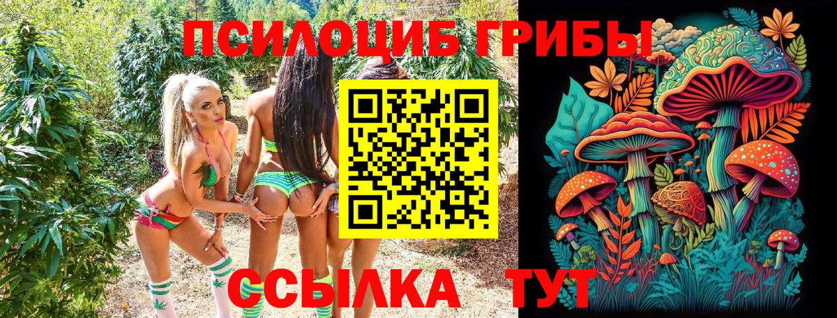 Нововоронеж  Псилоцибиновые грибы прущие грибы  Вход с VPN 